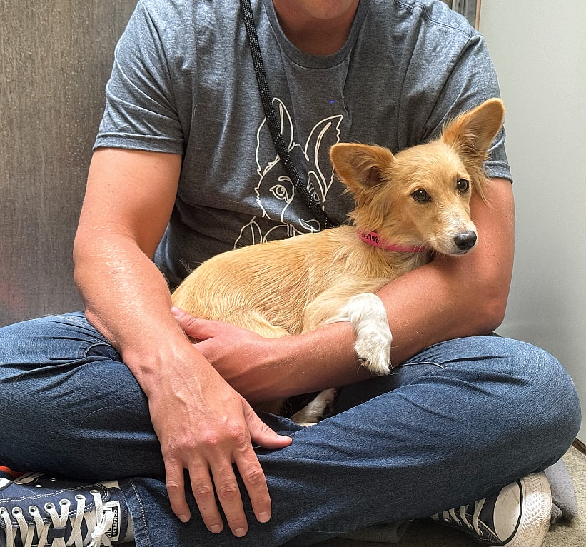 Piper for Adoption (Empty the Shelters 2024)